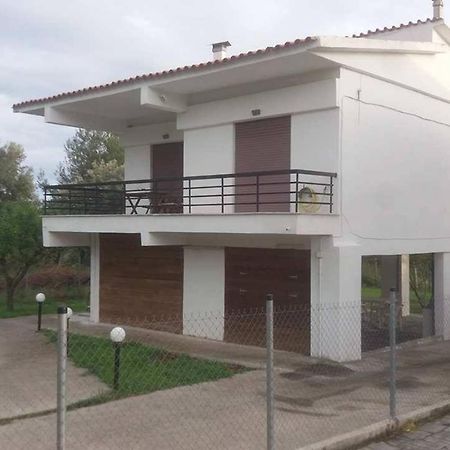 Вилла Antheia'S House Неа-Скиони Экстерьер фото